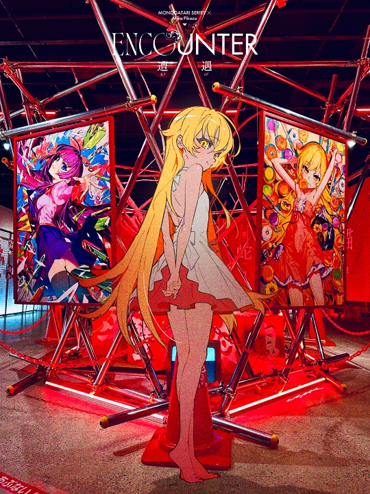 物语系列：化物語5 忍野忍 遇见。